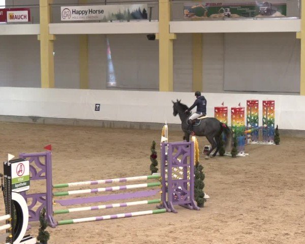 Reitturnier Stadl-Paura 2025