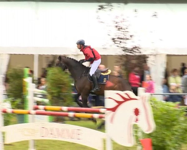 Reitertage Holdorf 2014