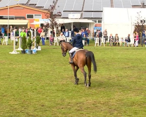 Reitertage Holdorf 2014