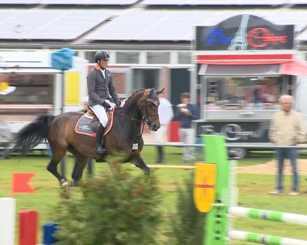 Reitertage Holdorf 2014