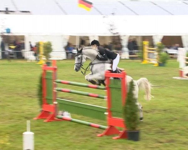 Reitertage Holdorf 2014