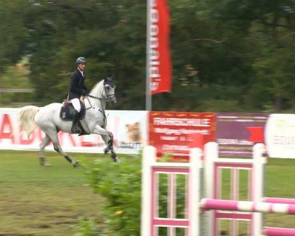 Reitertage Holdorf 2014
