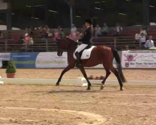 61. Lobbericher Reitsportfestival CDN