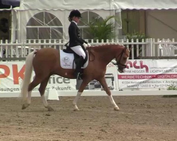 61. Lobbericher Reitsportfestival CDN