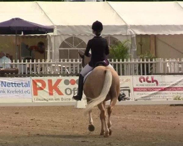 61. Lobbericher Reitsportfestival CDN