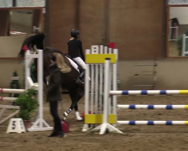 Reitturnier Kamen 2021