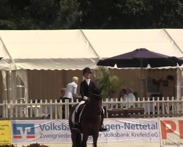 61. Lobbericher Reitsportfestival CDN