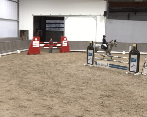 Reitturnier Münster-Handorf 2025