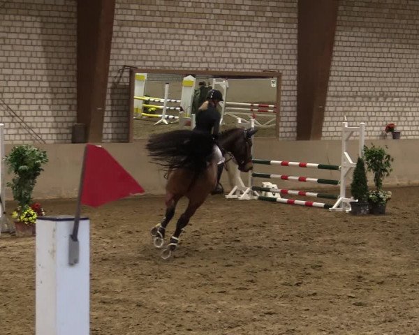 Reitturnier Kamen 2021