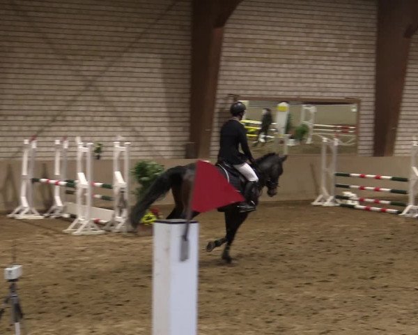 Reitturnier Kamen 2021
