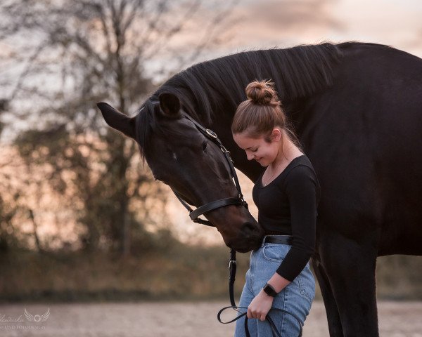 dressage horse Le grand Monsieur 3 (Westphalian, 2012, from Lafon)