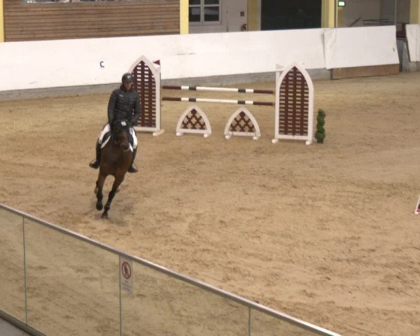 Reitturnier Stadl-Paura 2025