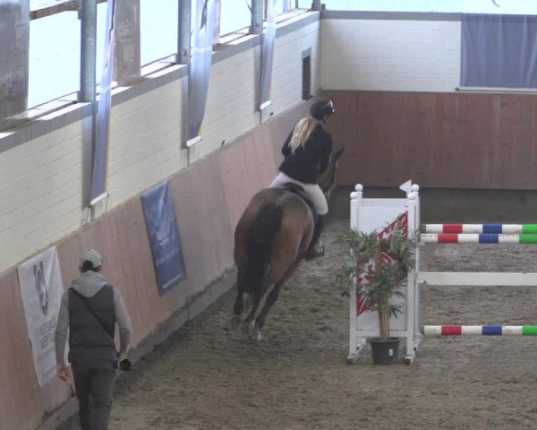 Reitturnier Grevenbroich - Gut Neuhaus 2021