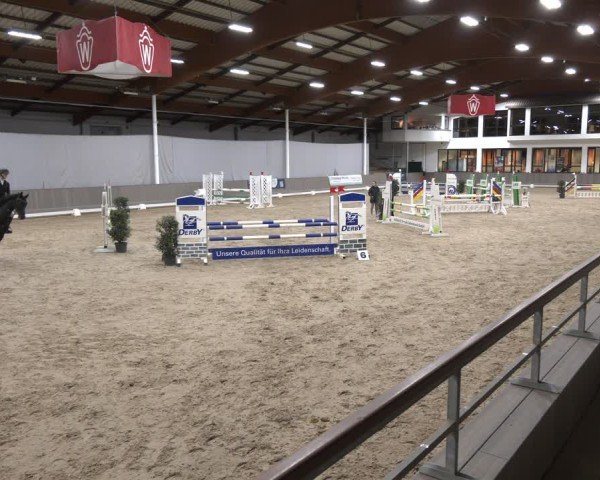 Reitturnier Münster-Handorf 2025