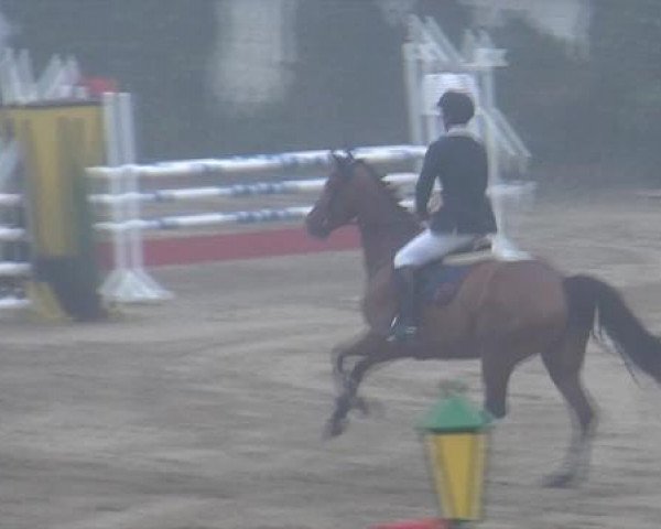 Aachen - Gut Weyern 2014