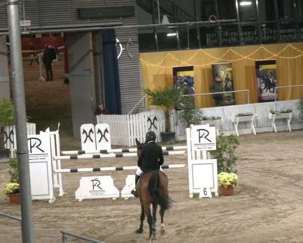 Reitturnier Verden 2025