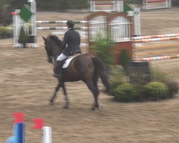 Aachen - Gut Weyern 2014