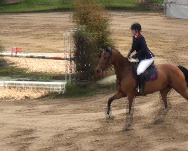 Aachen - Gut Weyern 2014