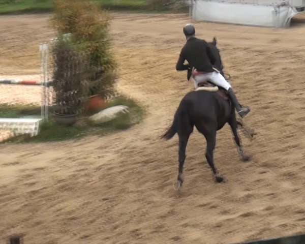 Aachen - Gut Weyern 2014
