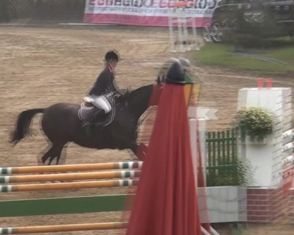 Aachen - Gut Weyern 2014