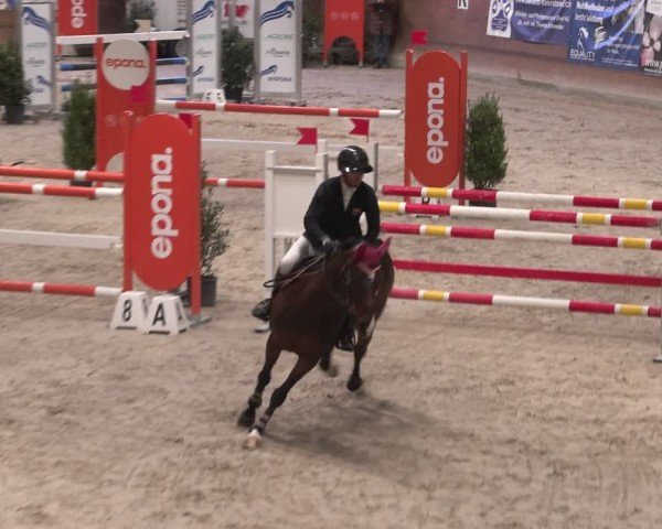 Reitturnier Rüti 2025