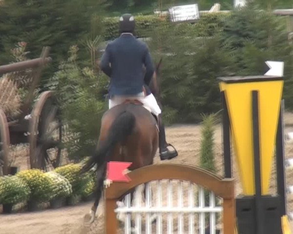 Aachen - Gut Weyern 2014
