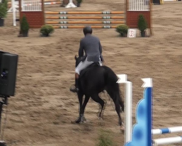 Aachen - Gut Weyern 2014