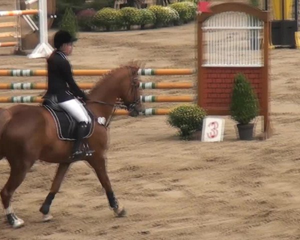 Aachen - Gut Weyern 2014