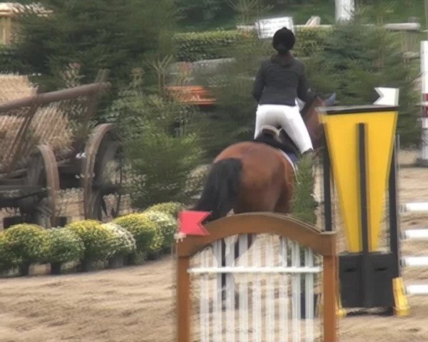 Aachen - Gut Weyern 2014