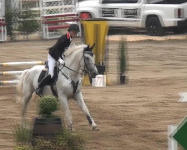 Aachen - Gut Weyern 2014