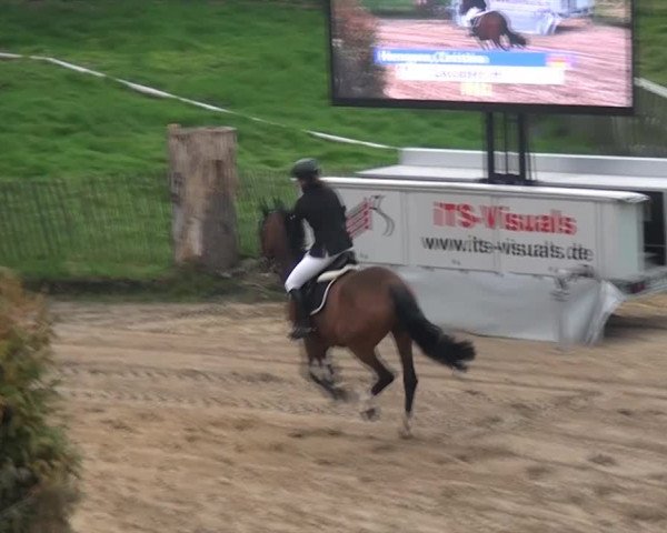 Aachen - Gut Weyern 2014