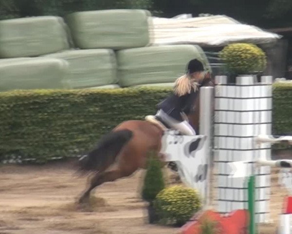 Aachen - Gut Weyern 2014