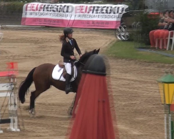 Aachen - Gut Weyern 2014