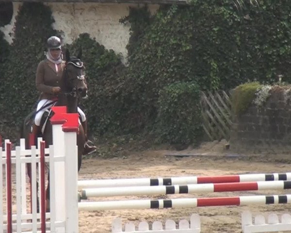 Aachen - Gut Weyern 2014