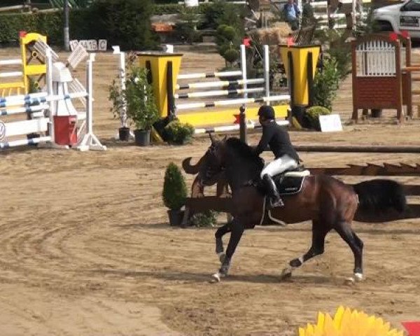 Aachen - Gut Weyern 2014