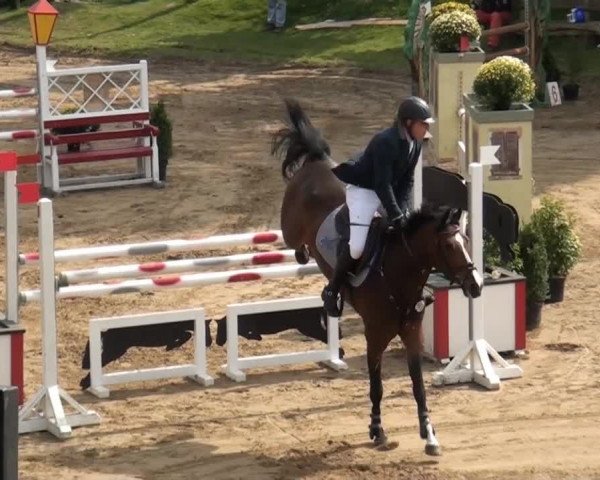 Aachen - Gut Weyern 2014