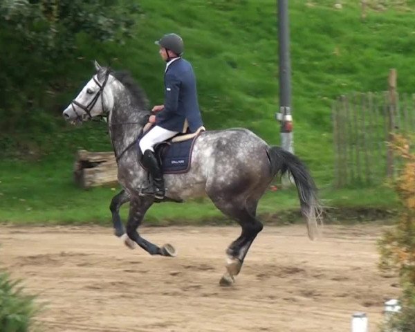 Aachen - Gut Weyern 2014