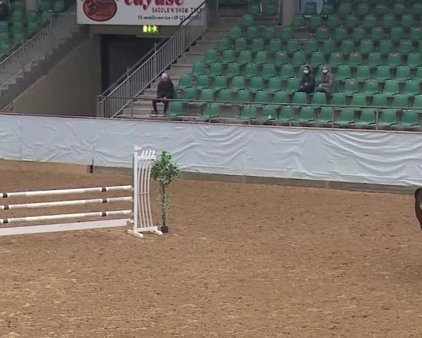 Reitturnier Kreuth/Opf. 2021