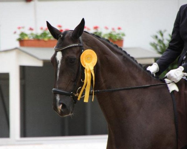 broodmare Arietta (Rhinelander, 2005, from Abanos)