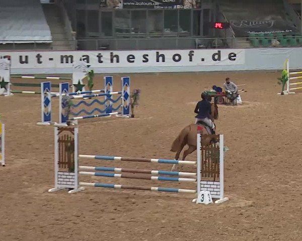 Reitturnier Kreuth/Opf. 2021