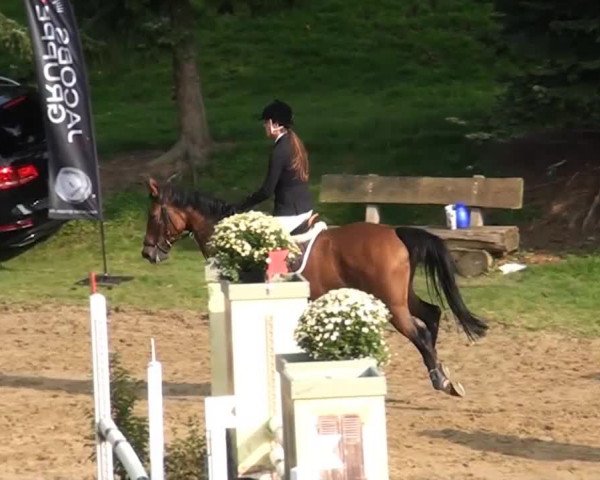 Aachen - Gut Weyern 2014