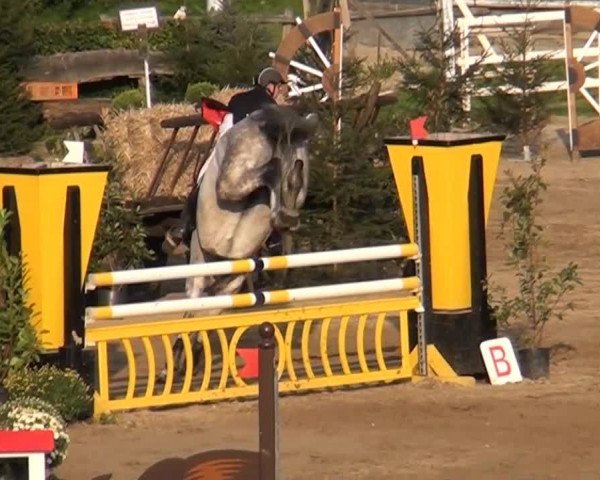 Aachen - Gut Weyern 2014