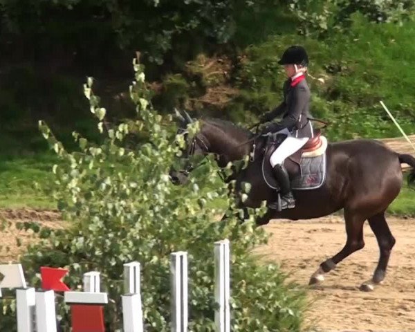 Aachen - Gut Weyern 2014