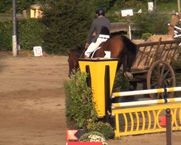 Aachen - Gut Weyern 2014