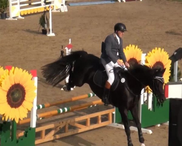 Aachen - Gut Weyern 2014
