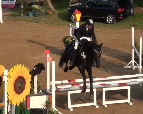 Aachen - Gut Weyern 2014