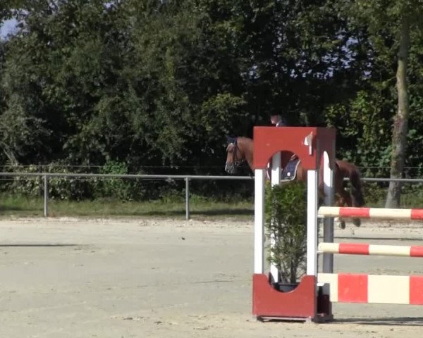 Appelhülsen 2014