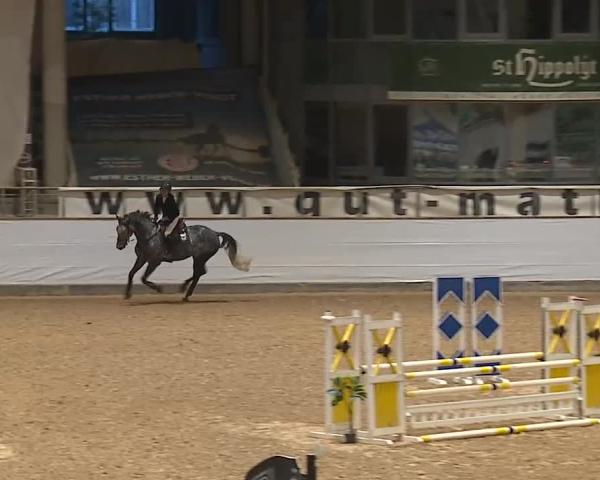 Reitturnier Kreuth/Opf. 2025