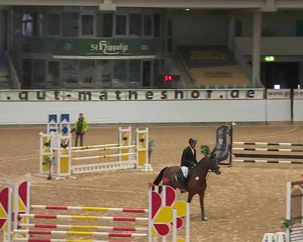 Reitturnier Kreuth/Opf. 2025