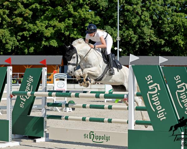 Chovná klisna Betty Boop (Německý jezdecký kůň, 2010, od Ciacomini)